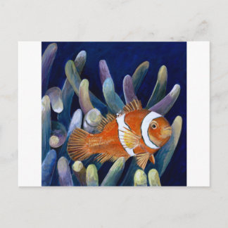 I love clownfish postcard