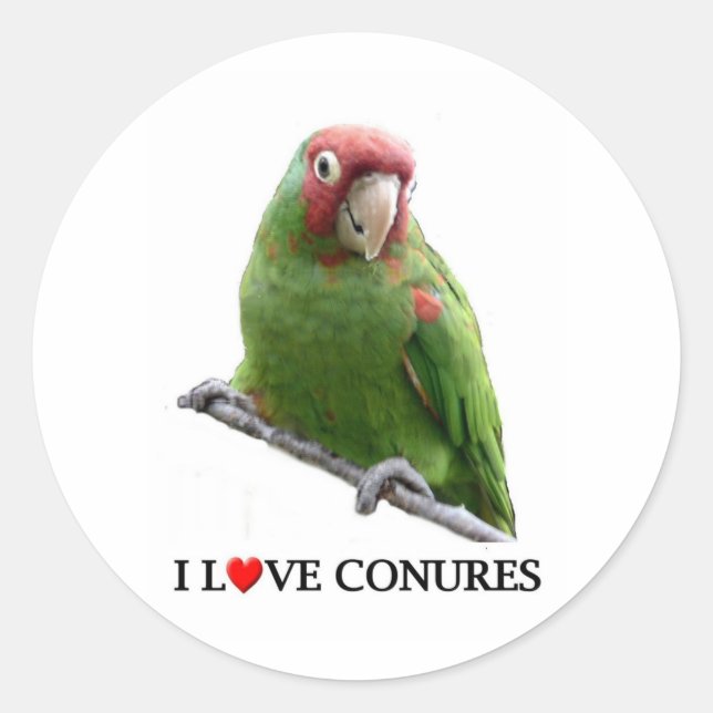 I love conures too classic round sticker (Front)