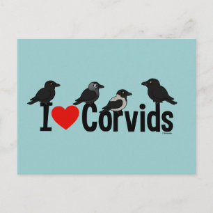 I Love Corvids Postcard