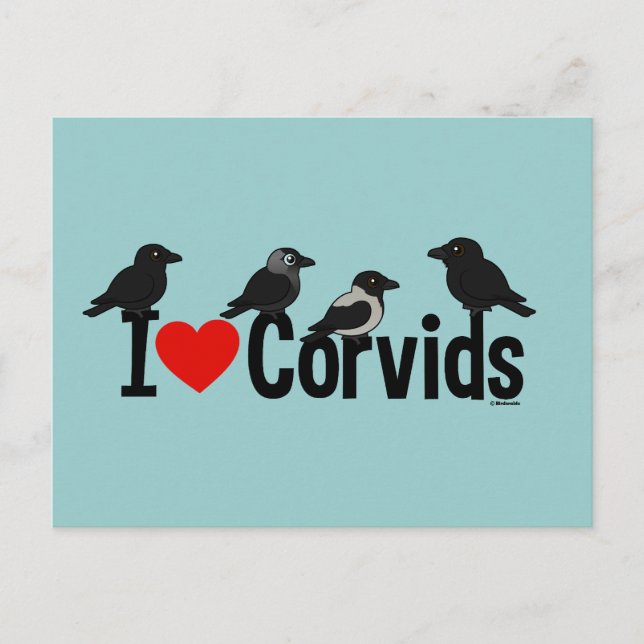 I Love Corvids Postcard (Front)