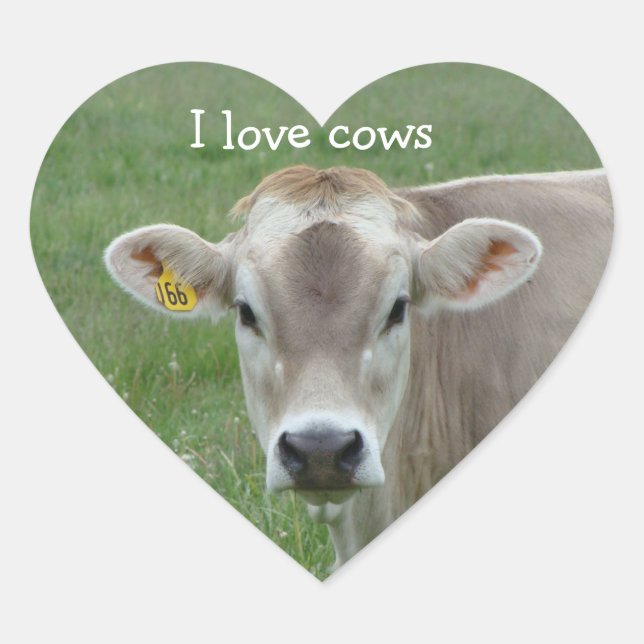 I Love Cows Heart Sticker (Front)