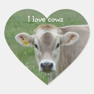 I Love Cows Heart Sticker