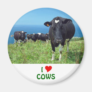 I Love Cows Magnet