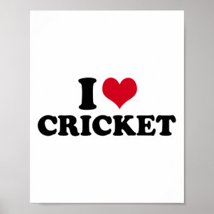 I Love Cricket Poster