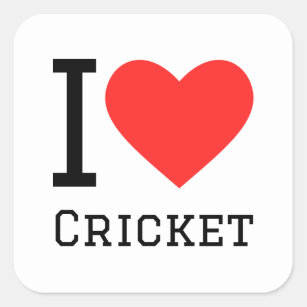 I love cricket square sticker