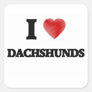 I love Dachshunds Square Sticker