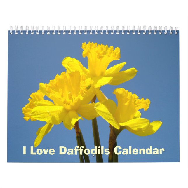 I Love Daffodils Calendars Nature Spring Blue Sky (Cover)