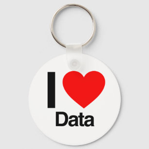 i love data key ring