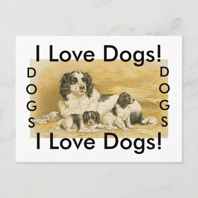 I love dogs postcard (Front)
