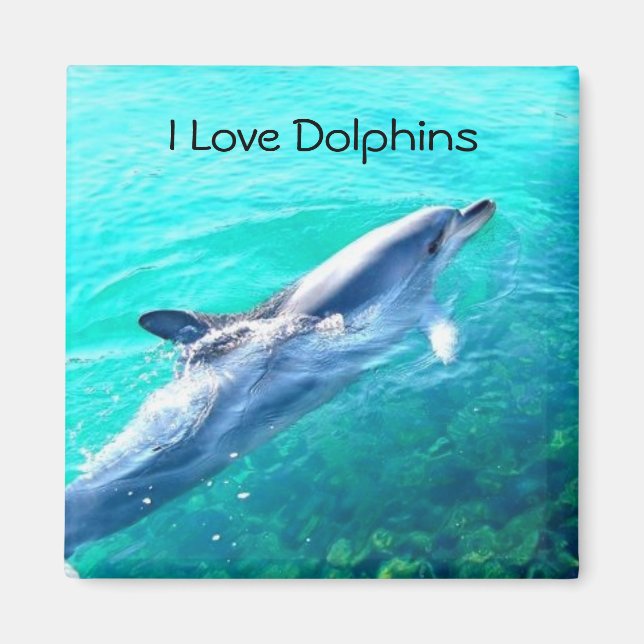 I Love Dolphins Magnet (Front)