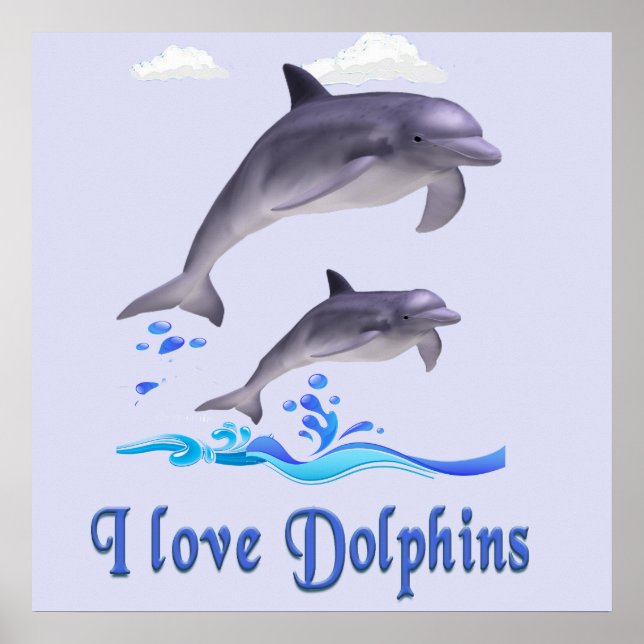   I love Dolphins Poster (Front)