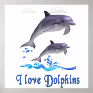 I love Dolphins Poster