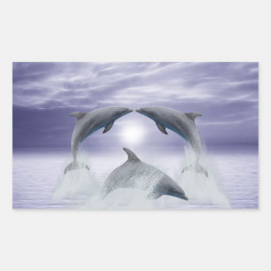 I love dolphins rectangular sticker