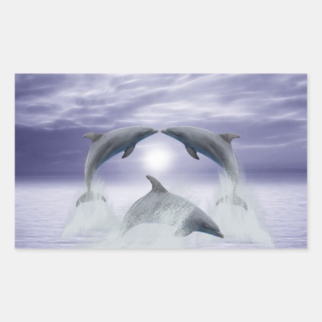 I love dolphins rectangular sticker (Front)