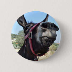 I Love Donkeys! 6 Cm Round Badge
