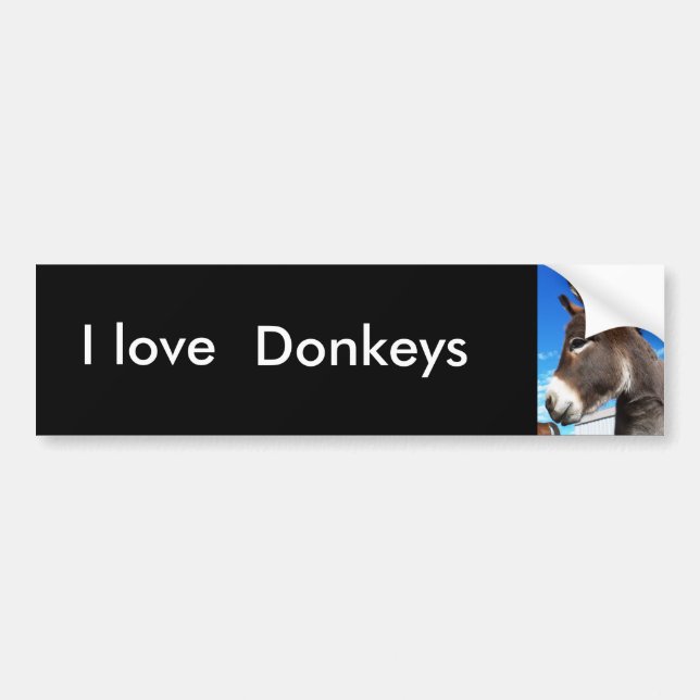 I love , Donkeys bumber sticker (Front)