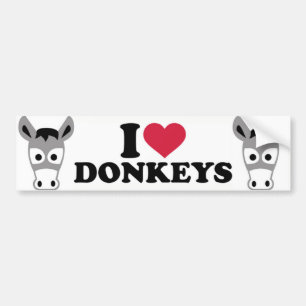 I Love Donkeys Bumper Sticker