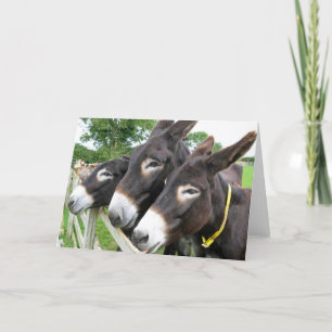 I Love Donkeys! Card