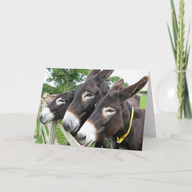 I Love Donkeys! Card (Front)