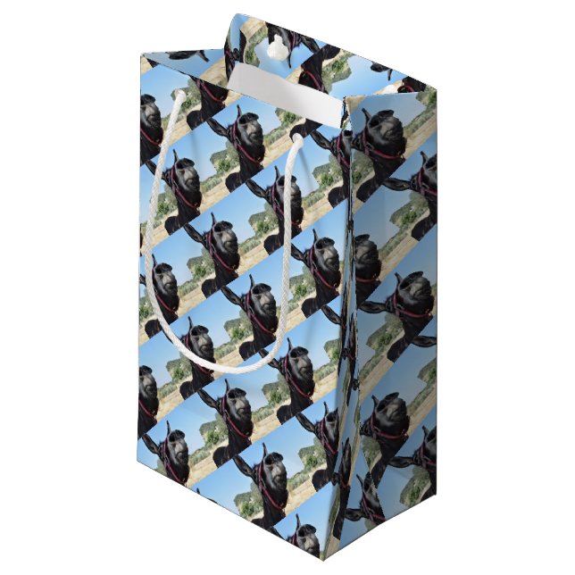 I Love Donkeys! Small Gift Bag (Front Angled)