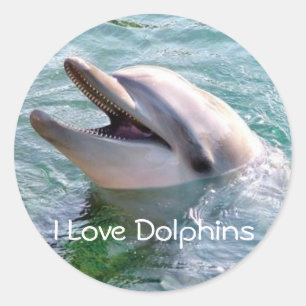 I Love Dophins Sticker
