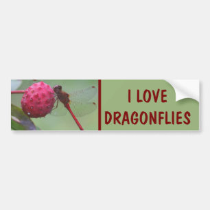I Love Dragonflies Nature Bumper Sticker