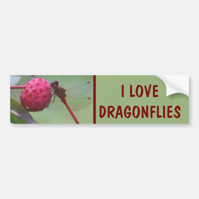 I Love Dragonflies Nature Bumper Sticker (Front)