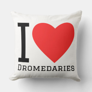 I love dromedaries cushion