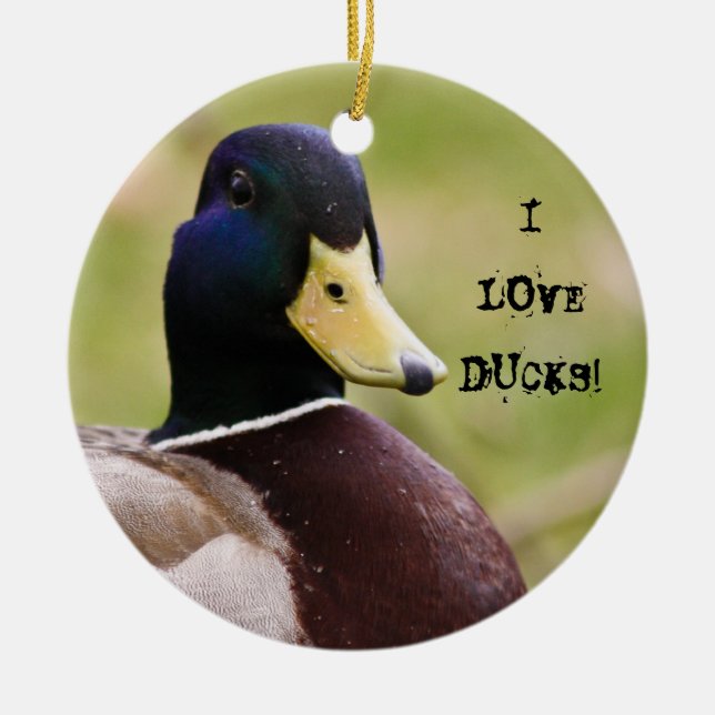 I Love Ducks Ornaments (Front)