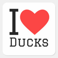 I love ducks