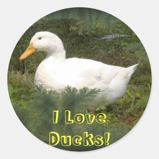 I Love Ducks! Stickers (Front)