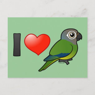 I Love Dusky-headed Conures Postcard