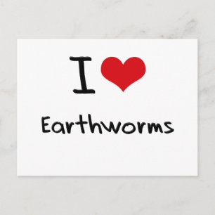 I love Earthworms Postcard