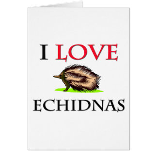 I Love Echidnas