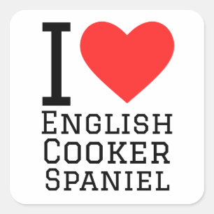 I love English cooker spaniel Square Sticker