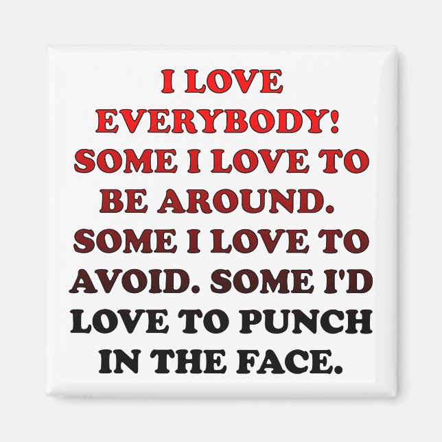 I Love Everybody Funny Fridge Magnet Refrigerator (Front)