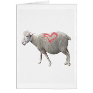 I Love Ewe