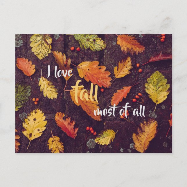 I love fall most of all / autumn postcard (Front)