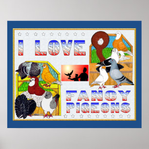 I Love Fancy Pigeons! Poster