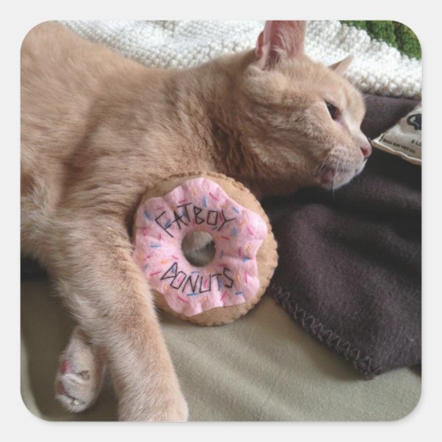 I Love Fatboy's Doughnuts! Square Sticker (Front)