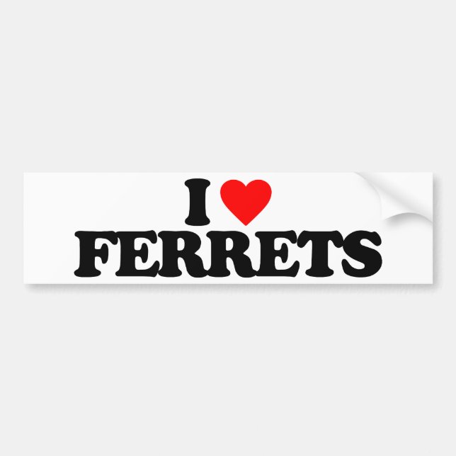 I LOVE FERRETS BUMPER STICKER (Front)