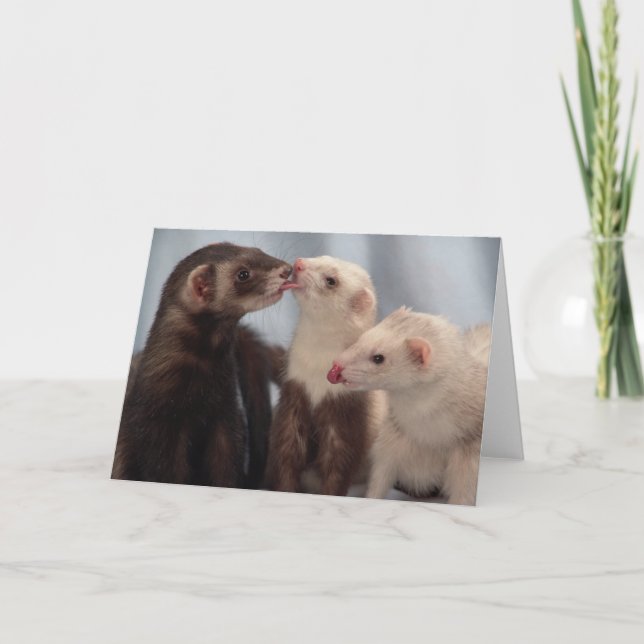 I Love Ferrets Card (Front)
