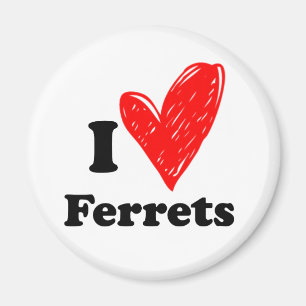 I love ferrets magnet