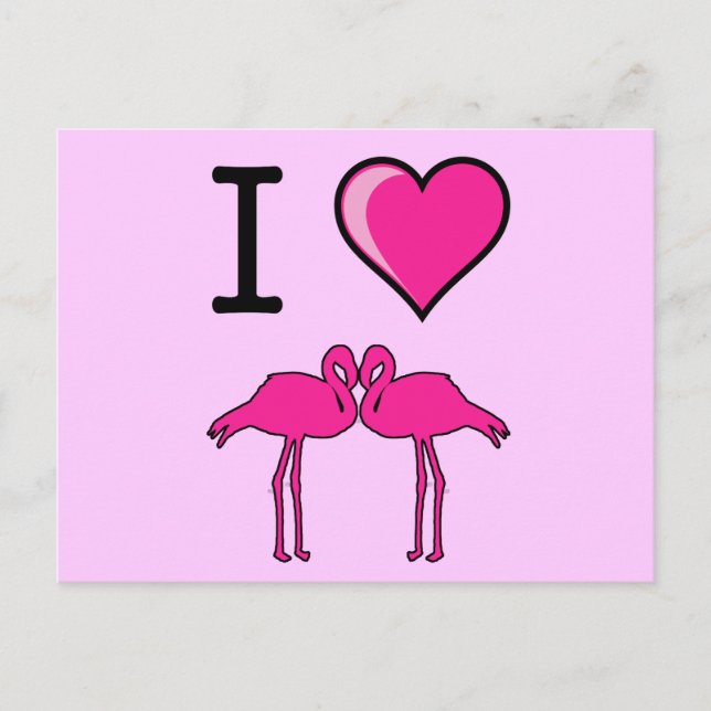 I Love Flamingos Postcard (Front)