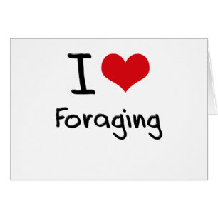I Love Foraging