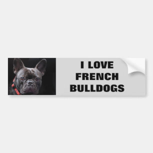 I LOVE FRENCH BULLDOGS BUMPER STICKER