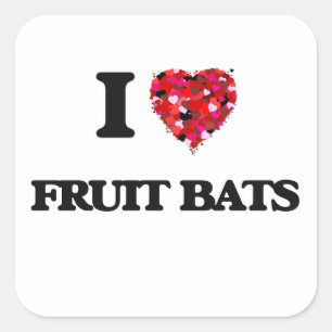 I love Fruit Bats Square Sticker