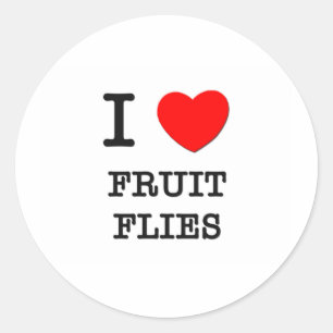 I Love Fruit Flies Classic Round Sticker