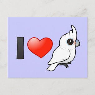 I Love Goffin's Cockatoos Postcard