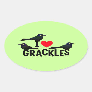 I Love Grackles Oval Sticker